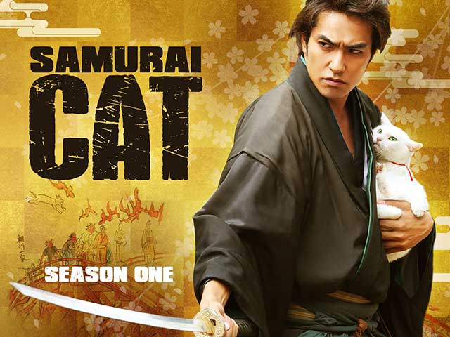 Samurai-Cat.jpg