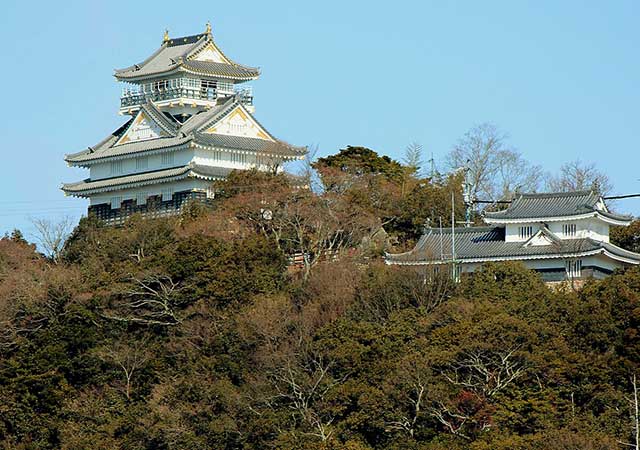 The-Siege-of-Inabayama-Castle.jpg