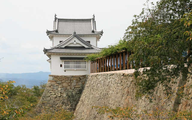 Tsuyama_Castle2.jpg